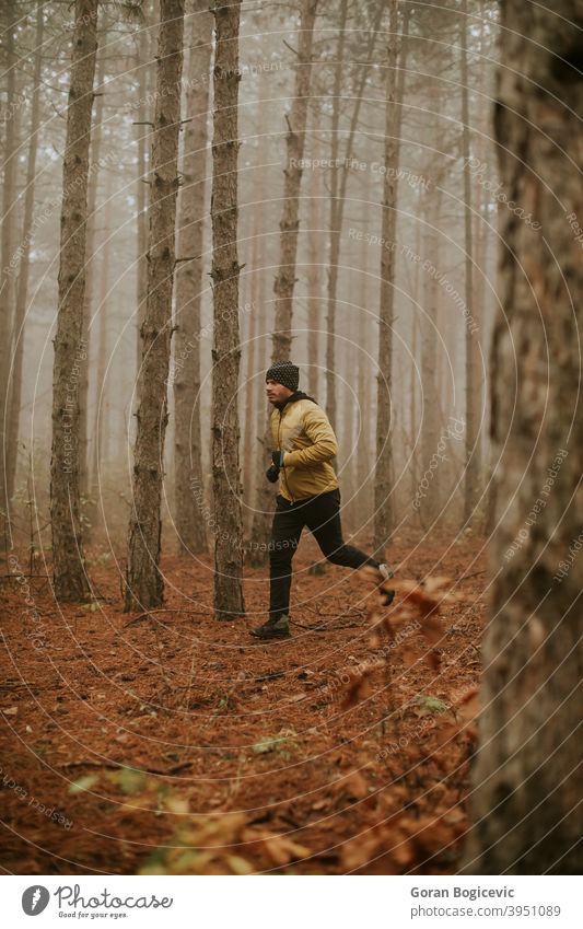 Young man running in autumn forest and exercising for trail run marathon endurance race fitness runner male jogging exercise nature people jogger athlete person