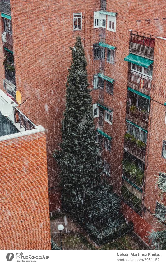 Weather snowing, with buildings and a pine in the background. scene covered winter storm sidewalk snowy greenwich life brownstone road christmas view cold