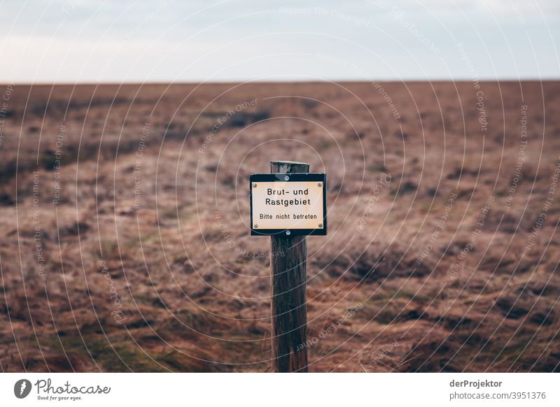 Sign with inscription: "Breeding and resting area" on the Eiderstedt peninsula Panorama (View) Long shot Central perspective Deep depth of field Sunset Sunbeam