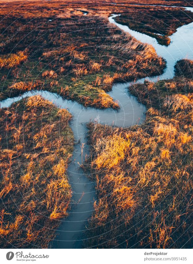 Small brook in Sankt Peter-Ording Panorama (View) Long shot Central perspective Deep depth of field Sunset Sunbeam Sunlight Reflection Silhouette Contrast