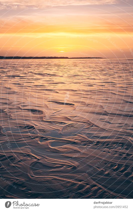 Morning on the beach in San Peter-Ording I Wide angle Panorama (View) Long shot Worm's-eye view Deep depth of field Sunrise Sunbeam Sunlight