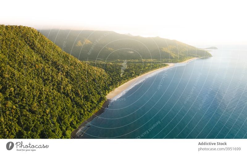 Sandy seashore surrounded by lush green mountains in coastal town in Australia ocean beach hill nature landscape seascape tree scenic breathtaking scenery wavy