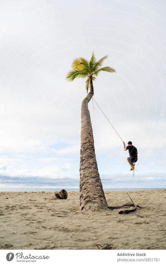 Man swinging on rope on palm man tree beach hang summer vacation seashore male australia nature holiday recreation tourism relax sand idyllic travel tropical