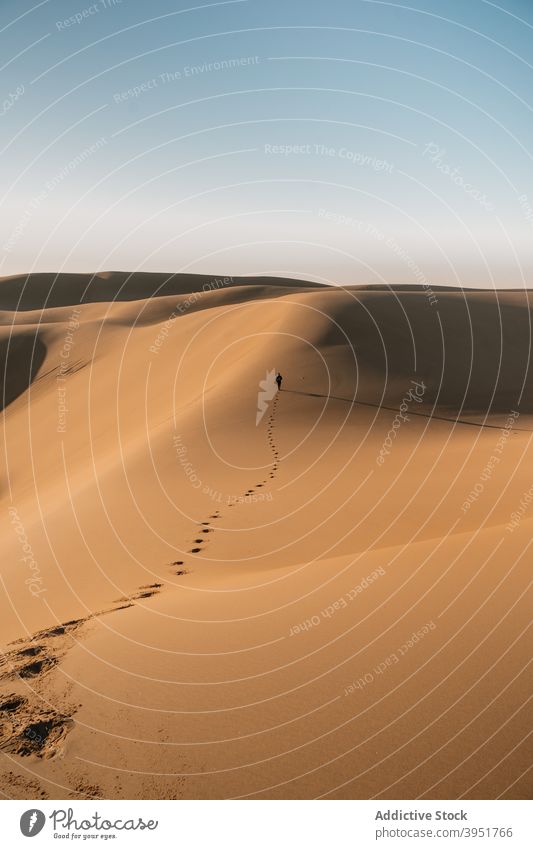 Traveler walking on sand dunes in desert traveler footprint nature trace landscape summer australia scenery scenic freedom heat dry arid drought sunny cloudless