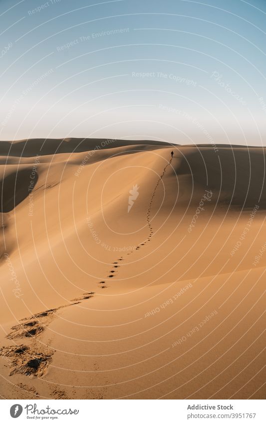 Traveler walking on sand dunes in desert traveler footprint nature trace landscape summer australia scenery scenic freedom heat dry arid drought sunny cloudless