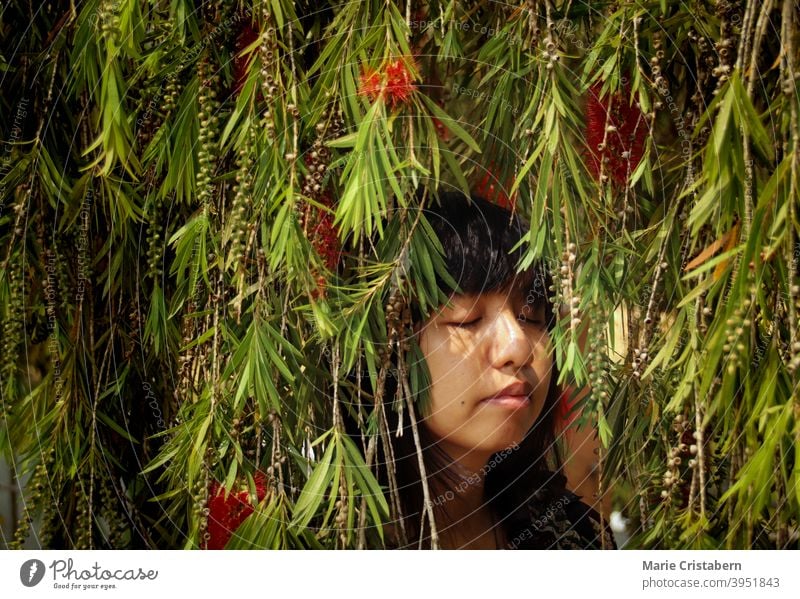 Asian girl relaxing among the bottlebrush tree leaves summer Spring time spring conceptual portrait eyes closed asian girl mindfulness meditation zen