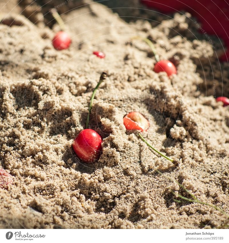 sand cherries Environment Nature Sun Beautiful weather Delicious Healthy Eating Cherry Sand Sandpit Fruit Red Exterior shot Garden Food photograph