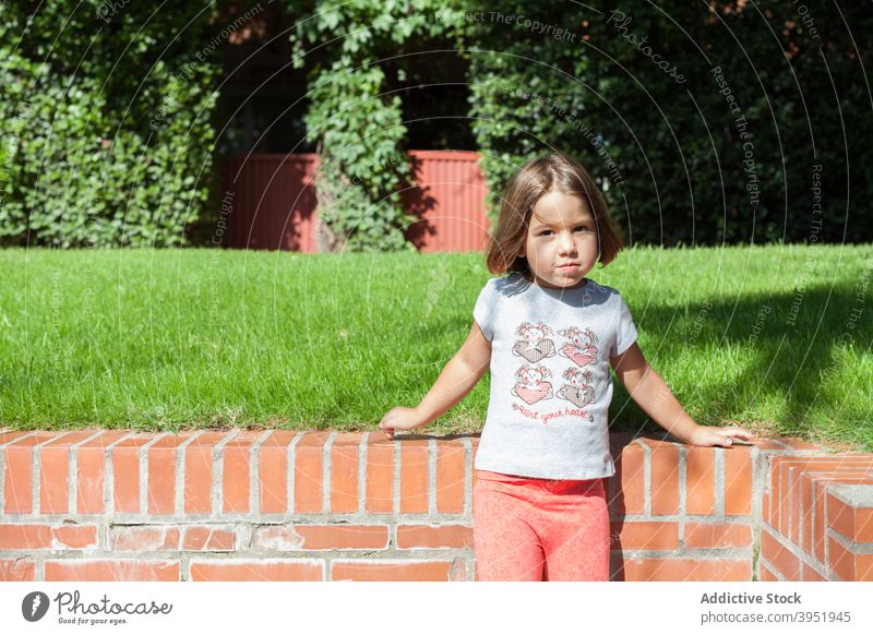 Cute kid resting in courtyard on sunny day child play nature tree childhood holiday positive relax girl adorable casual blond grassy lawn leisure optimist