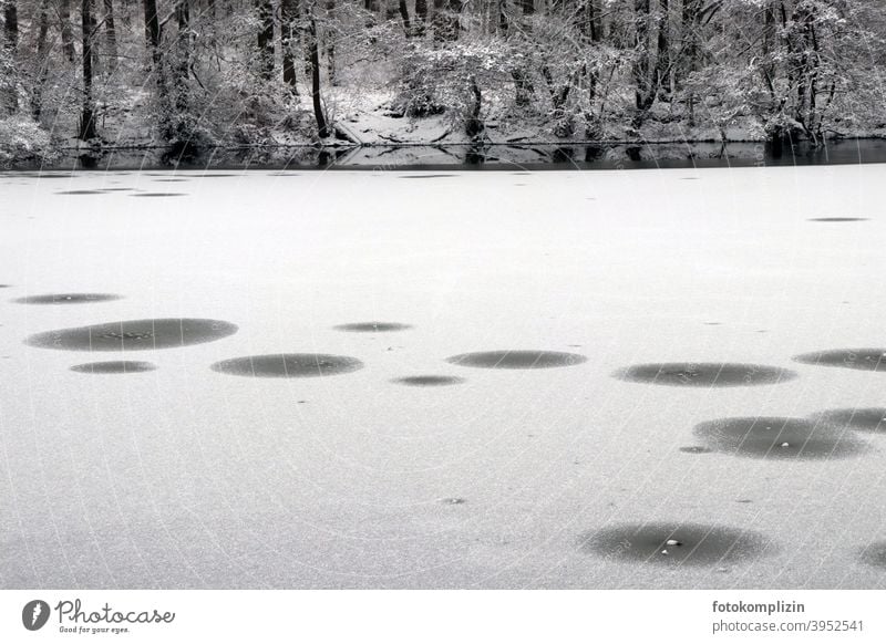 frozen lake cold season quick-frozen icily cold temperature Cold Lake Lakeside Winter Winter's day Snowscape chill winterly silence onset of winter Forest lake