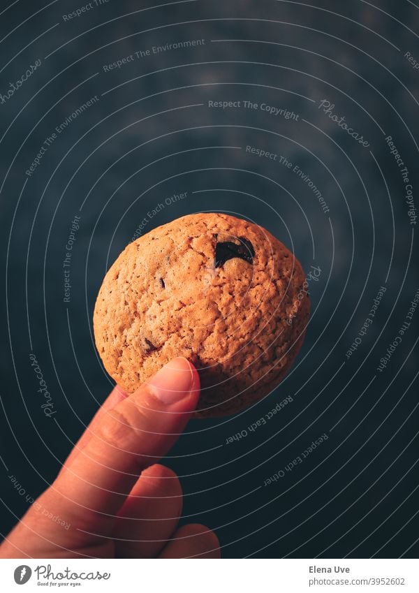 Chocolate cookie with dark background. Cookie Food Food photograph Isolated Isolated Image Moody Dark dark food Nutrition Colour photo Delicious Close-up