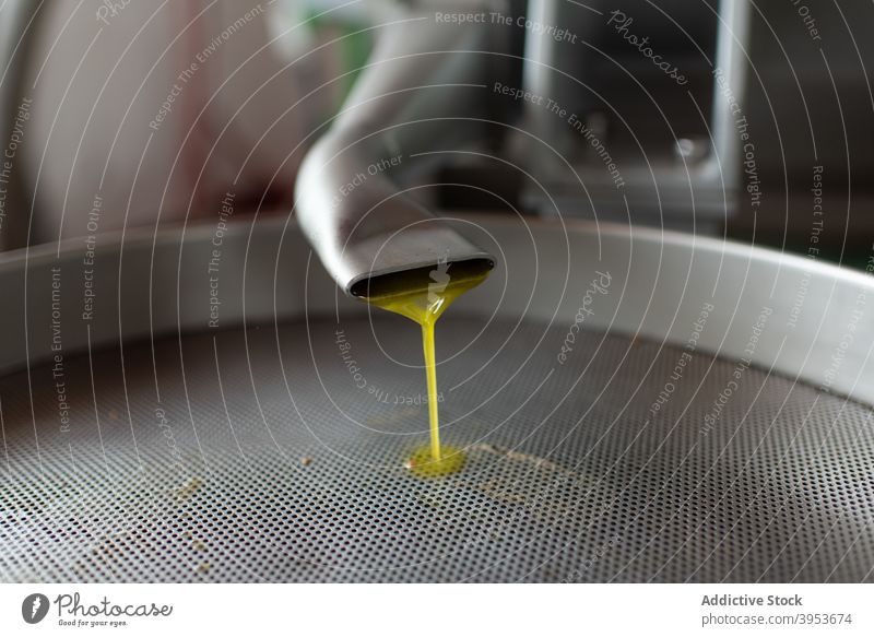 Freshly pressed olive oil flowing into tank in farm pour factory mill pipe equipment industry process facility manufacture fresh production fill liquid