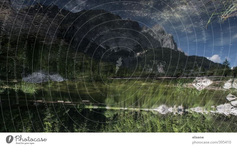 Eibsee Environment Nature Landscape Water Sky Summer Beautiful weather Bushes Alps Mountain Zugspitze Lakeside Pond Hiking Colour photo Exterior shot Deserted