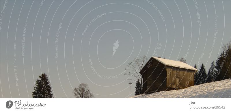 Barn in the sky Treetop Snow Sky off piste Blue