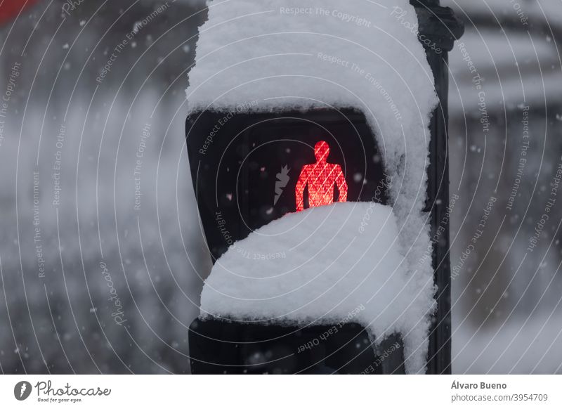 A red traffic light, completely covered with snow, on a snowy day, due to the Filomena polar cold front. Madrid city capital Spain storm ice frozen winter year