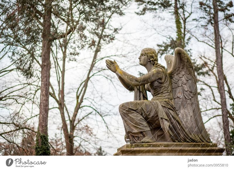 no more no angels, please!!! Statue Angel Figure pray praying Cemetery Art Exterior shot Religion and faith Grief Church Holy believe Prayer Hope Spirituality