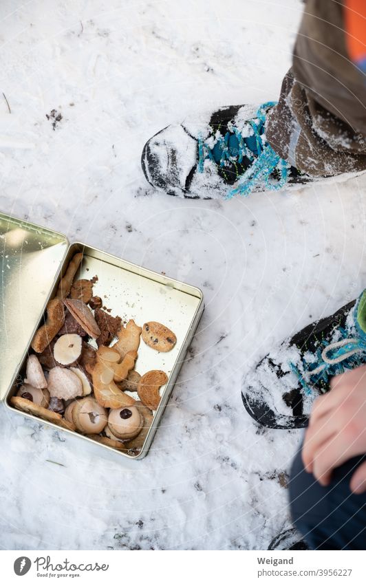 Cookies during a break on a winter hike Break take a break Christmas & Advent Delicious Self-made Winter Snow Forest Ground Footwear