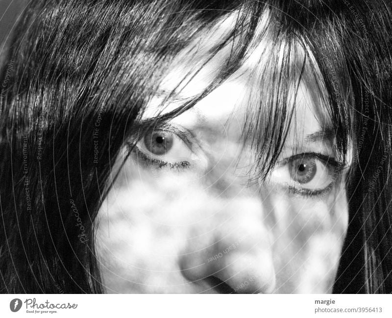 Face of a woman, eyes, nose, hair Woman portrait Human being Feminine Looking Looking into the camera Adults Nose Cheek face Light Head Day Dark-haired pretty