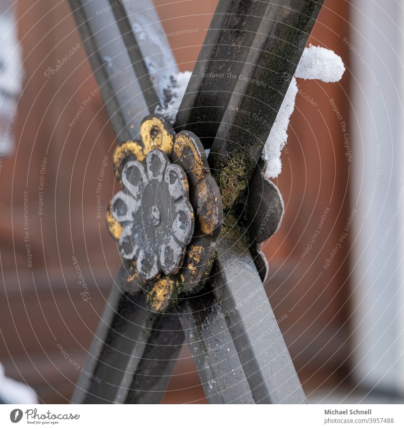 Part of a railing at a house entrance decoration Cast iron cast-iron Entrance Decoration Exterior shot Deserted Colour photo Close-up Detail detail