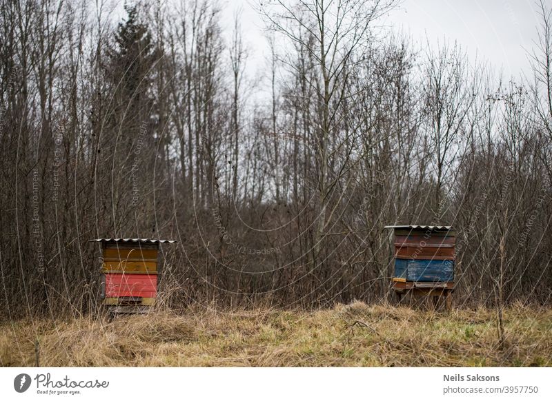 Group beehives in the autumn garden . After agriculture apiary beekeeping blue board box climate cold color covered Europe farm farming field food frame fresh