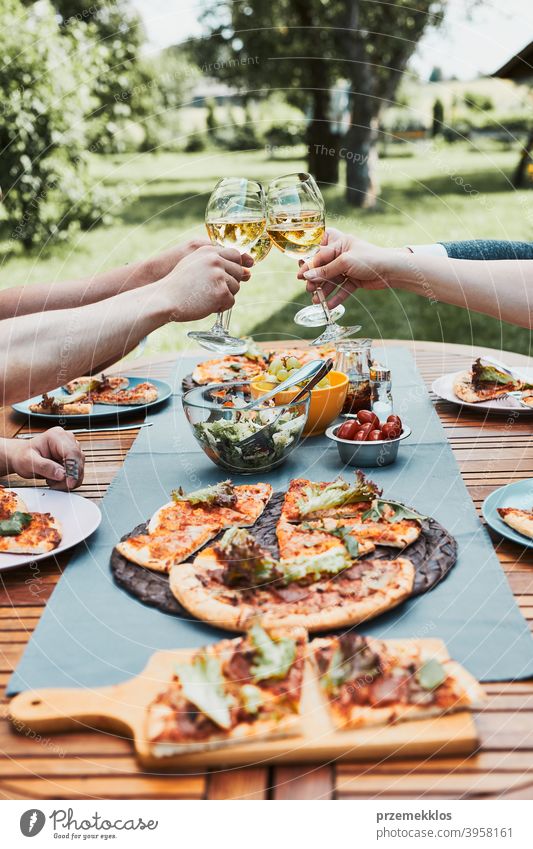 Friends making toast during summer picnic outdoor dinner in a home garden backyard beverage celebration dish drink eating family feast food friends fun