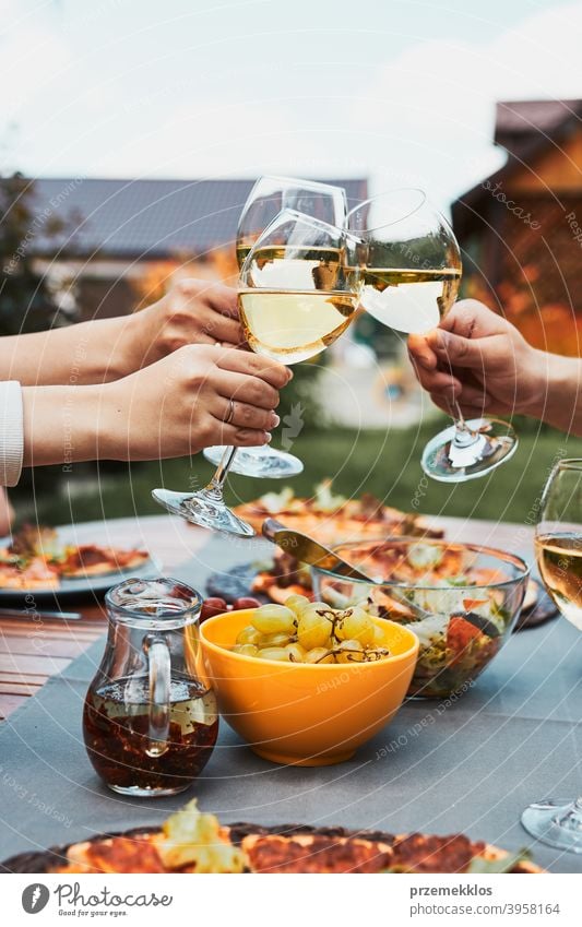 Friends making toast during summer picnic outdoor dinner in a home garden backyard beverage celebration dish drink eating family feast food friends fun