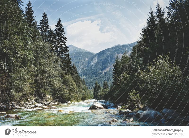 Mountain landscape - River - Austria stones Forest Coniferous trees Water Current Sky Clouds Horizon Dark green Nature Environment Picturesque Summer