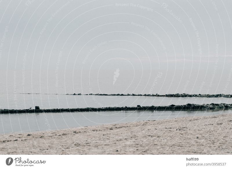 Winter by the sea - people are at home Sand Beach North Sea coast National Park Lakeside Mud flats Walk along the tideland Island Joy Relaxation Promontory