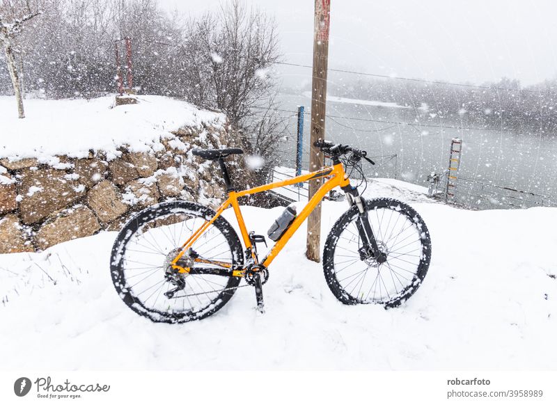 orange mountain bike in snowy landscape sport outdoor nature grass autumn run tree rider walk travel racer biking recreation biker athlete motion cyclist