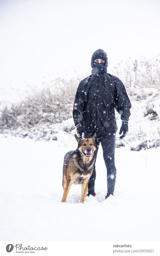 man running with dog in snowy landscape cold winter walk people season jogger park young woman person frozen beautiful travel winter landscape jogging sport