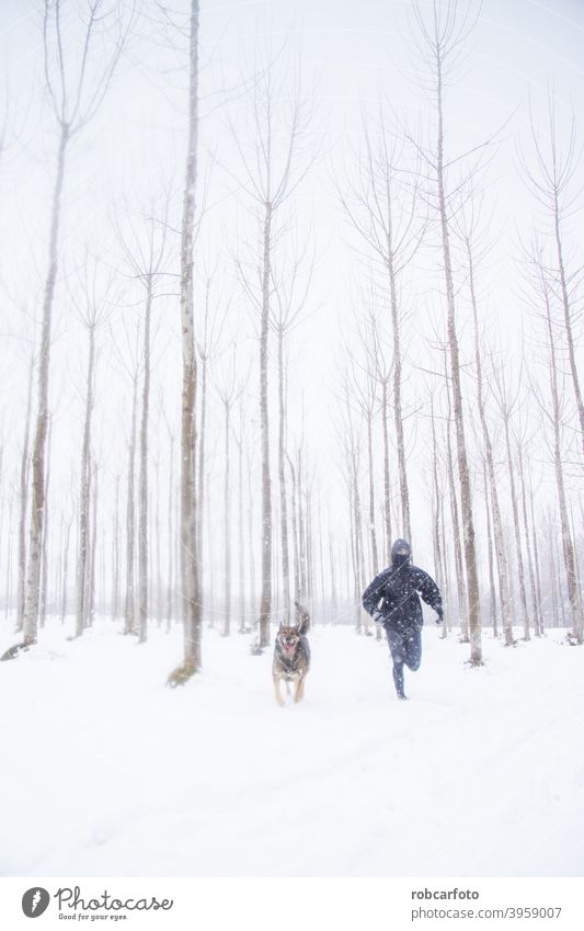 man running with dog in snowy landscape cold winter walk people season jogger park young woman person frozen beautiful travel winter landscape jogging sport