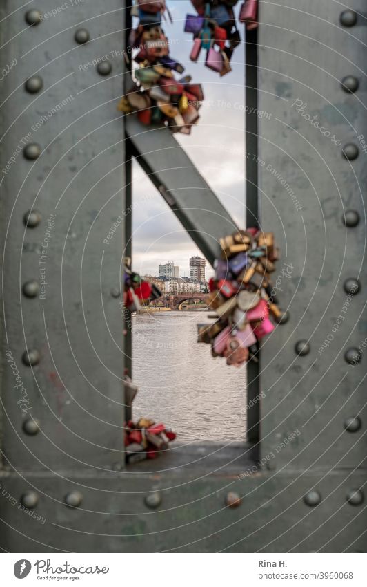 Love locks on Main bridge in Frankfurt with view of the city Love Locks Bridge symbol Vista iron bridge remembrances Steel bridge Stud Portrait format