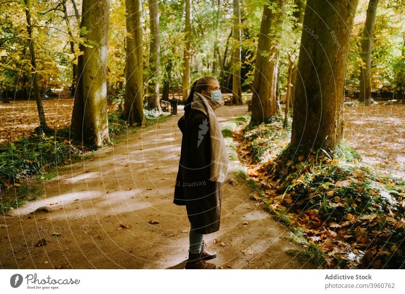 Woman standing on path in the woods woman forest autumn walk weekend stroll season footbridge female wooden nature fall tree harmony serene peaceful enjoy calm