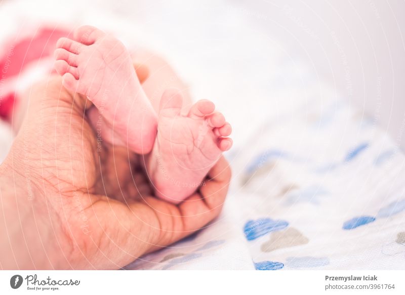 Little newborn pink foot held by father hand background toes hold family feet care delicate lifestyle wrinkles authentic copy space selective focus baby sweet