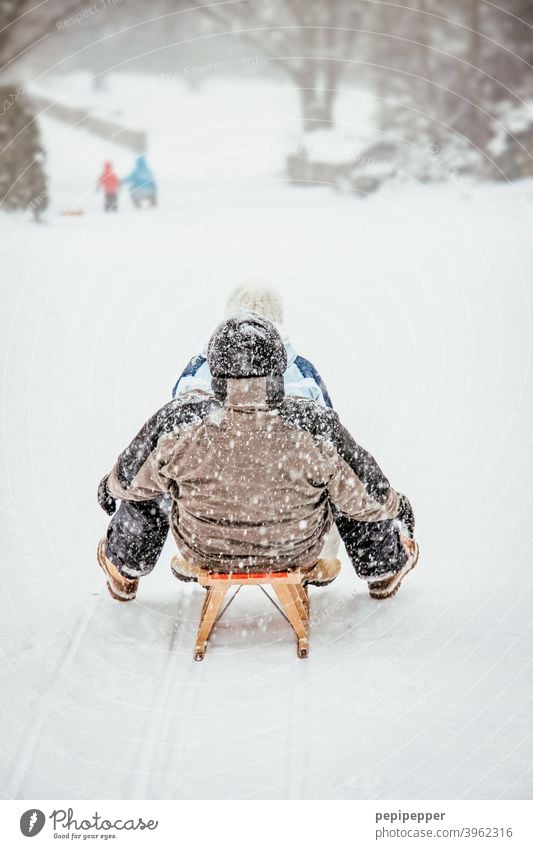 Sledging in winter Sleigh Sleigh Ride Winter Winter vacation Winter mood Winter's day Snow Winter forest Frost chill December Snowscape Landscape Cold Freeze