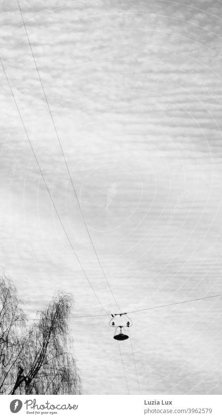 Street lights above bare branches, the sky is full of clouds Street lighting Cable Bleak Exterior shot Deserted Day Sky Lamp Clouds Electricity Technology