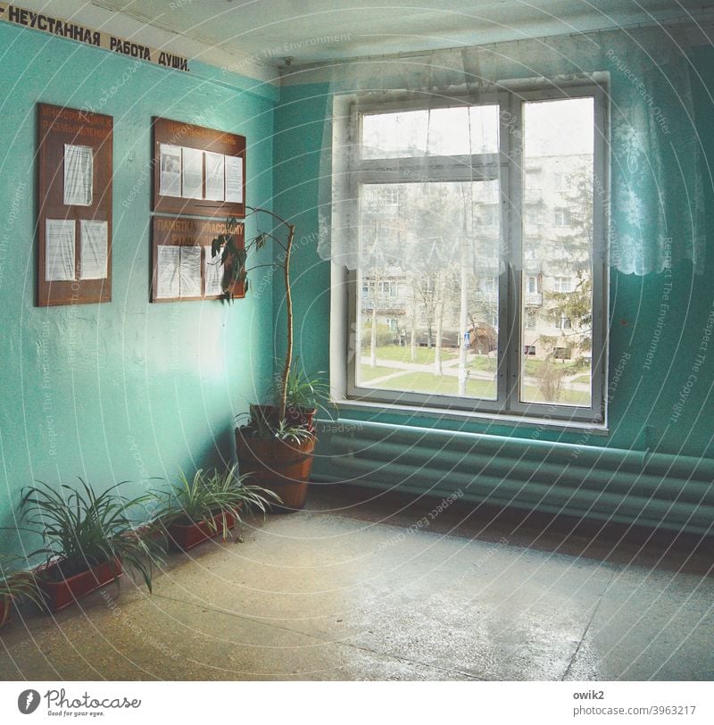 Back in the USSR Wall newspaper Russian hallway Window Wall (building) Turquoise Corner dreariness Eastern Europe Moldova Chisinau Kishinev Heating Window frame