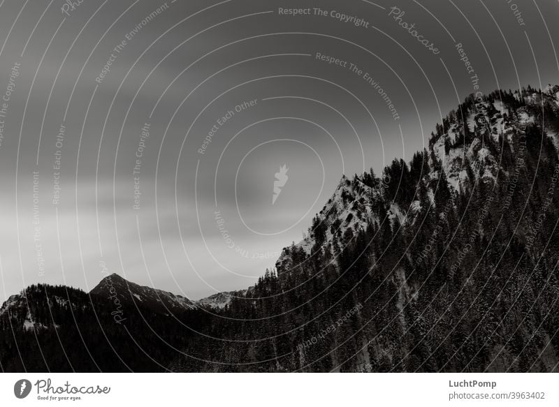 Mountain at dusk Mountaineering Forest Mountain forest Clouds Dawn Dusk shades Bad weather Dark clouds Rain Cloud Brecherspitz Rock Alps Black & white photo