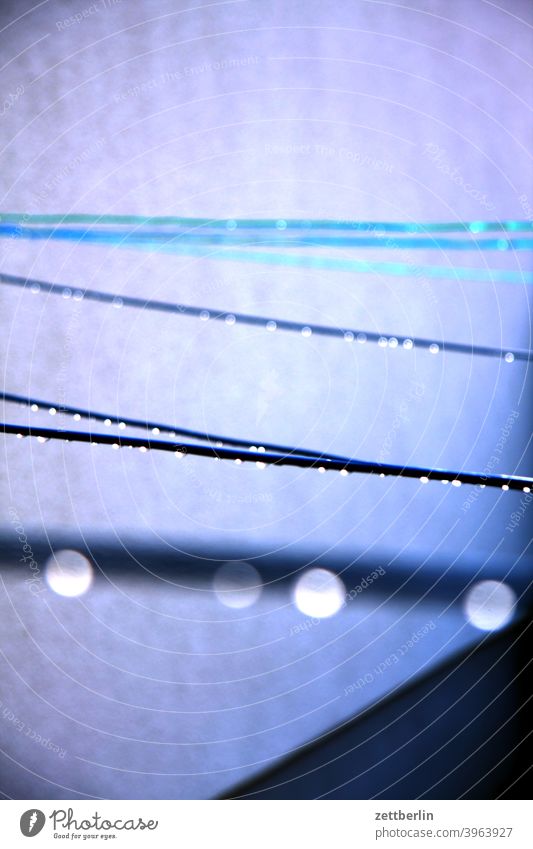 Raindrops on the clothesline Drop raindrops Weather Rainy weather leash rope String Household Laundry big laundry Depth of field Autumn Wet blurred blurriness