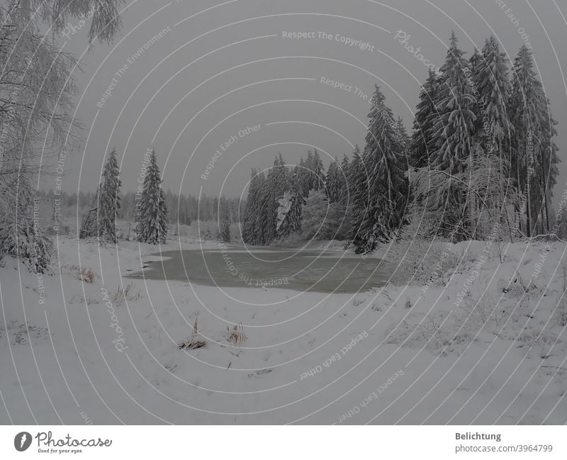 Winterlandschaft Schnee Eis Kälte Harz Märchenwald