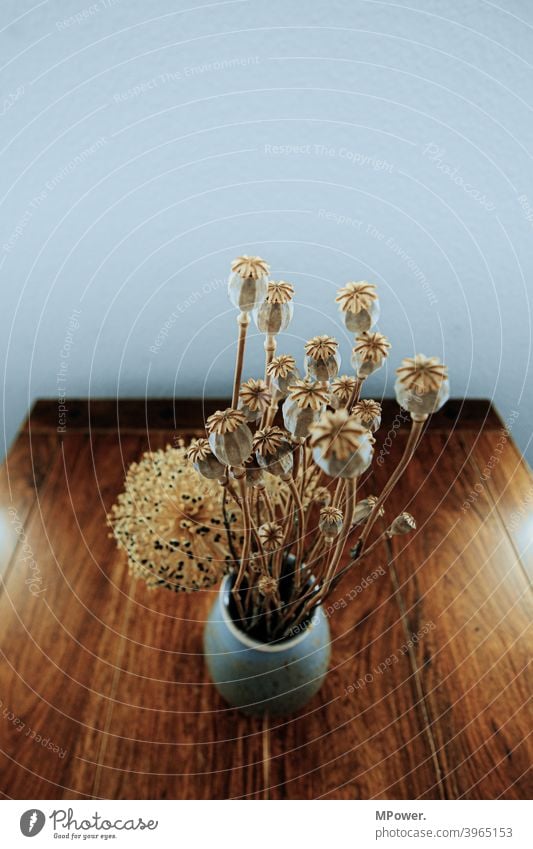 poppy bouquet Poppy Ostrich Dried flower Table Vase Bouquet Interior shot Poppy capsule Flower Brown