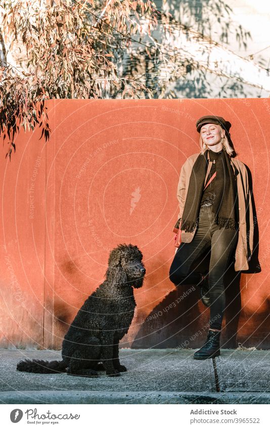 Stylish woman with Poodle dog in city standard poodle stroll animal friend owner together female trendy street smile obedient sunny pet canine happy breed