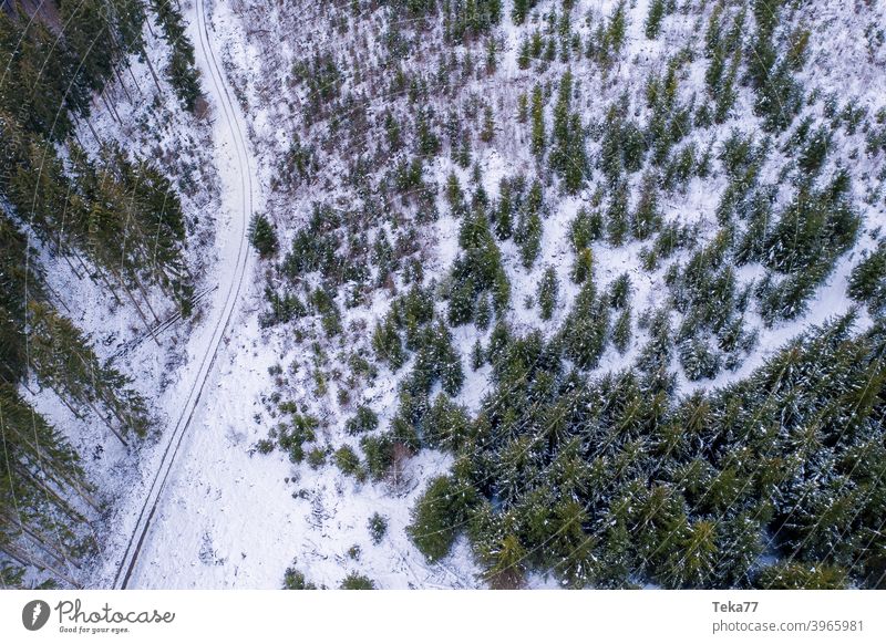 #Winter forest from above Forest forest path winterwaldweg Snow Ice Cold Aerial photograph