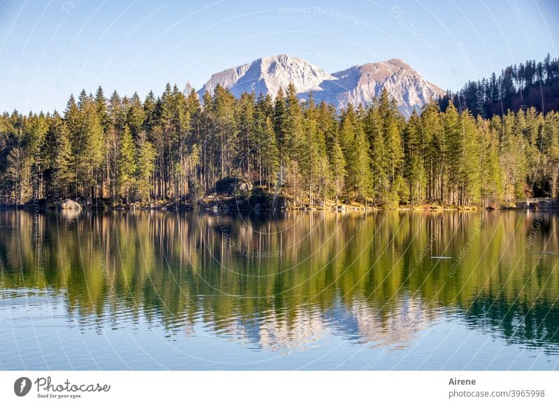 because the world is so beautiful... Lake Idyll Reflection Landscape Blue Green Forest Mountain Alps Sunlight Water reflection Surface of water Mountain lake