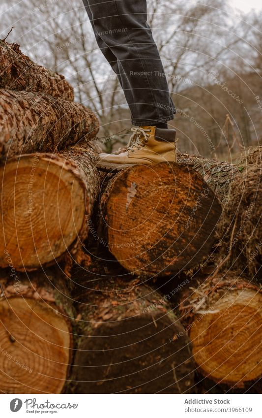 Woman standing on stack of wooden trunks woman log heap warm clothes young female countryside lifestyle rest pile nature lady lumber timber rural optimist