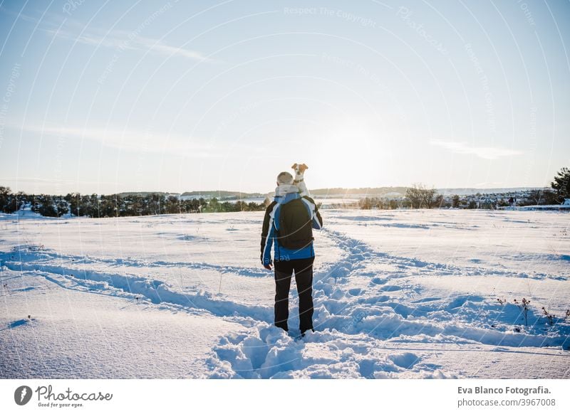 back view of man in snowy mountain at sunset holding cute jack russell dog. Travel and sport outdoors concept. Winter season travel owner pet love together