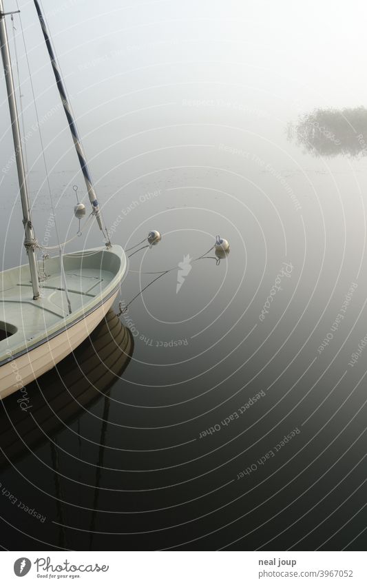 Bow of a sailboat on glassy lake in morning fog tranquillity Nature Idyll poetry Moody harmony Lake Water Surface of water reflection smooth early