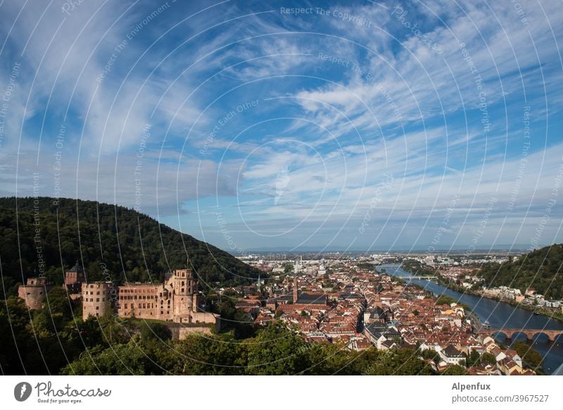 Neckarblick Heidelberg Lock Castle Exterior shot Colour photo Deserted Old town Architecture Ruin Day Town Wall (barrier) Tourist Attraction Historic Building