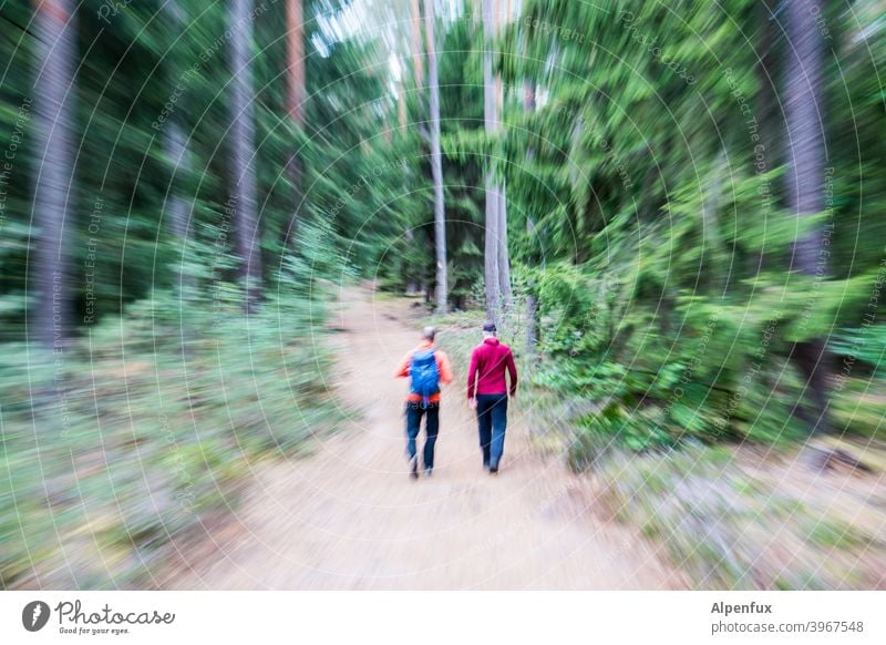 but now quickly | through the forest Forest warped swift Running Fear perception men two men Walking Runner focus