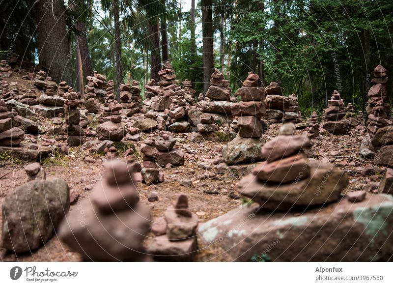 Contemporary History | Stone Age stones Forest Clearing Cairn Exterior shot Nature Colour photo Deserted Rock Environment Hiking Vacation & Travel Woodground