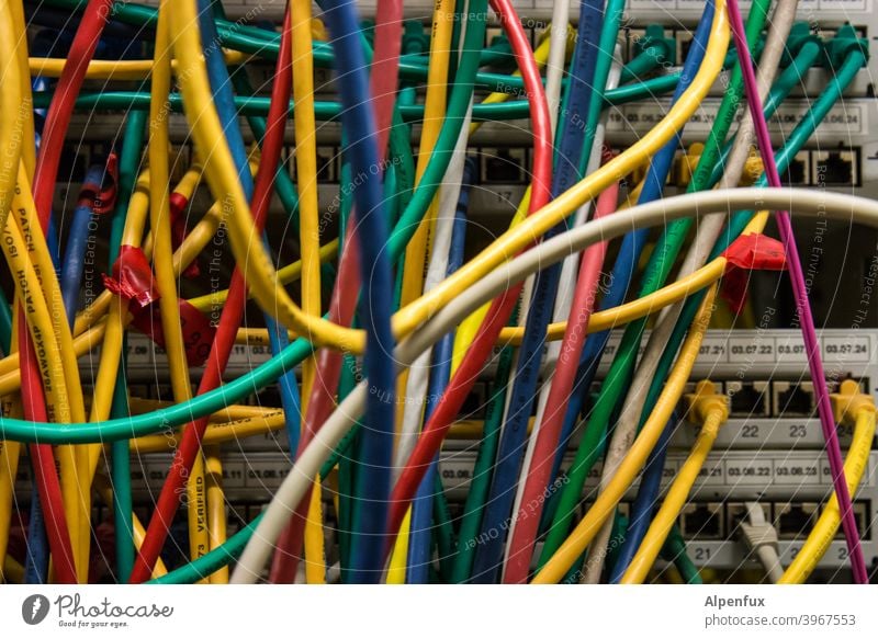 Vaccination schedule (schematic) EDP Cable Terminal connector Colour photo Technology Deserted Energy industry Telecommunications Close-up Interior shot